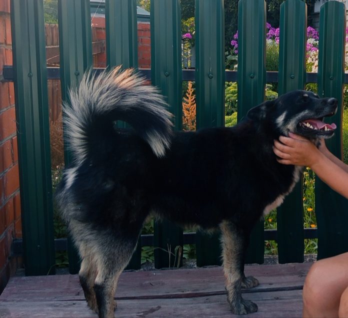 ciRkkVYhAa8Vvazj8F95RT_T9KqwrW6caukq1D4Y29Jd_JYpolOtunabdDY_2InKi56JvC31CpvqBOrCkXg2T610