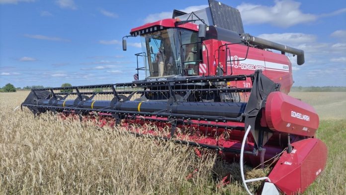 uborochnaya.-ermish.-12.08.2025