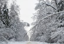 В Ермишинском округе двадцать восемь градусов мороза