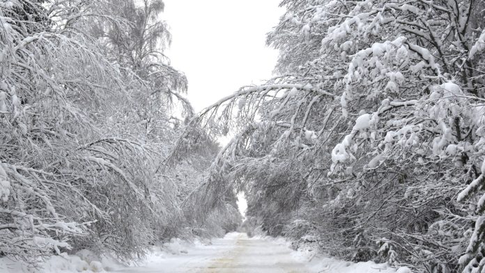 обрашение к спасателямю Ермишь.12.01.026