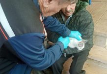 В Ермишинском округе привили более 40 домашних животных