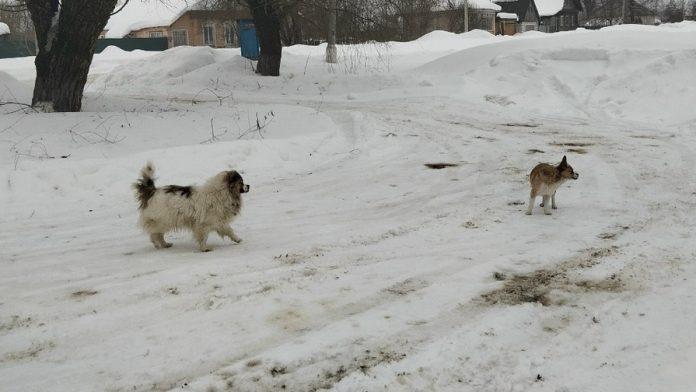 RZeM-Bsh5a_Z18ejgJPw8_xhj3dxrvJiifYZs6E3_cz2Qlh1tiNfU94HusaZJPsbxETG6hu2-U6zLp4amRbxwNRK