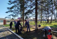 Ермишинцы присоединились к всероссийской акции