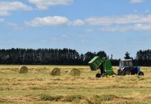 Аграрии Ермишинского района убирают сено