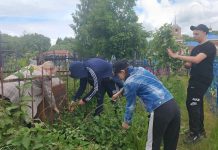 Добровольцы Нарминской школы ухаживают за воинскими захоронениями