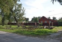 В Ермиши опиливают деревья